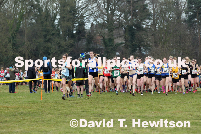 Senior womens Northern Cross Country Champs., Camp Hill Estate, Kirklington.  Photo: David T. Hewitson/Sports for All Pics